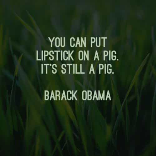 Famous quotes and sayings by Barack Obama