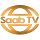 logo Saab TV