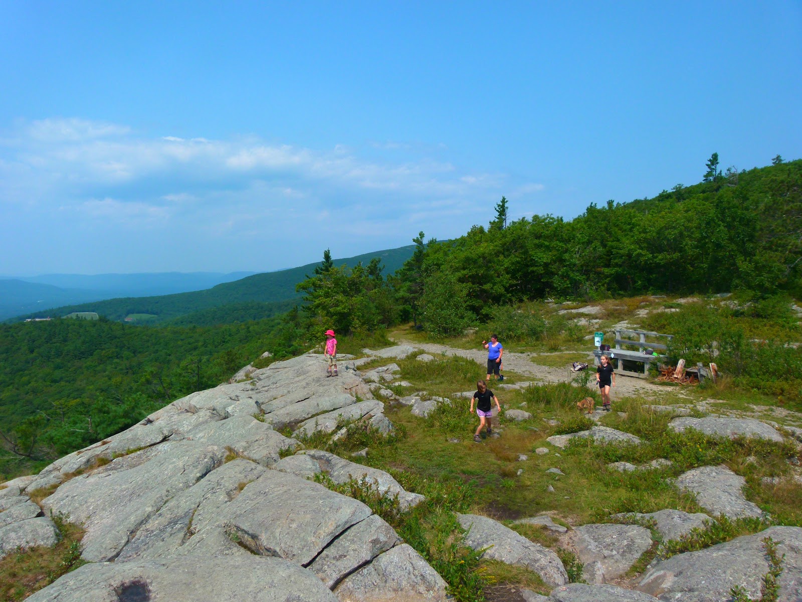 Trish, Alex, and Sage Tuesday Trip Report Bald Knob (Ossipee Range