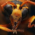Formigas cultivam fungo exclusivo e dependem dele para viver