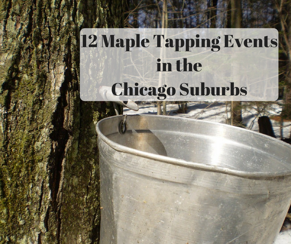A Little Time and a Keyboard 12 Maple Tapping Events in the Chicago Suburbs