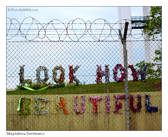 Magdalena.Sienkiewicz Photography