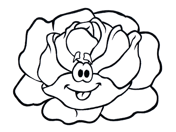 Desenho de alface para colorir, pintar, imprimir! Alfaces para pintar, verdura para colorir