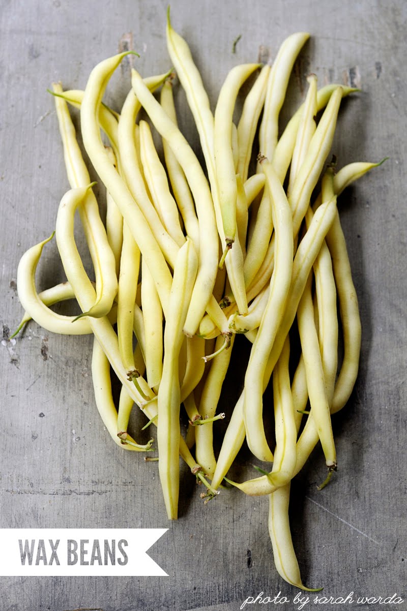 cherokee wax beans cherokee wax beans