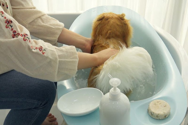 Ванночка Bath Cradle для Вашей собаки или кошки Ванночка Bath Cradle для Вашей собаки или кошки