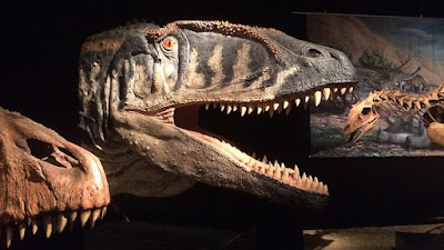 Encuentran en Tailandia el fósil de dinosaurio más grande del país