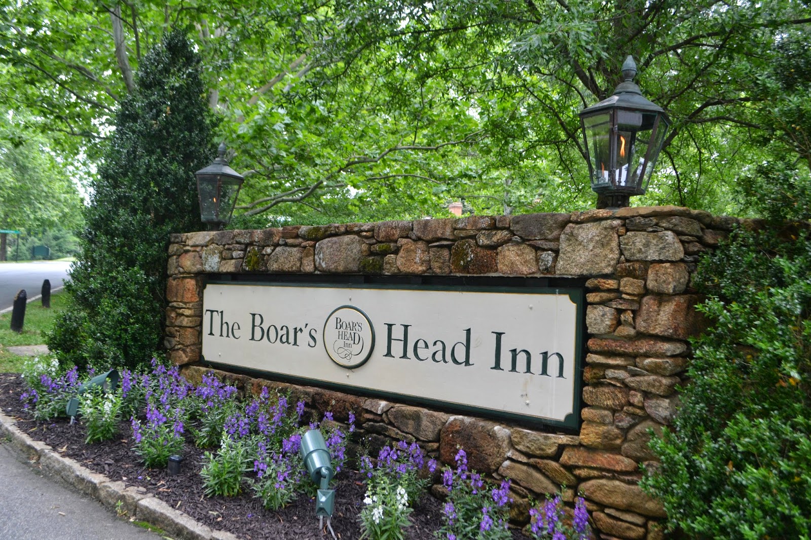 Let the Tide Pull Your Dreams Ashore The Boar's Head