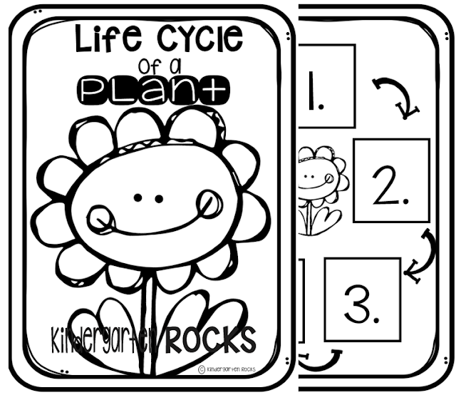 Plant Activities