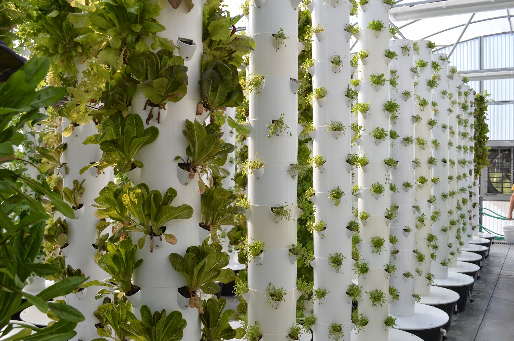 YourGarden.se Visit to The GreenH2ouse in Orlando