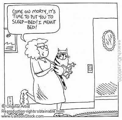 College English: Slip of the Tongue