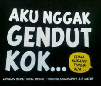 kata kata lucu buat status facebook kata kata lucu buat status facebook