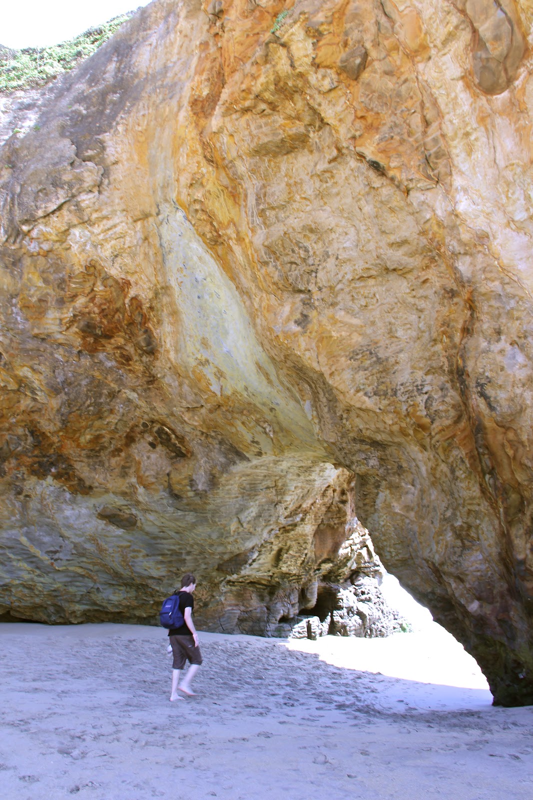 Love, Neffie: Panther Beach, Santa Cruz