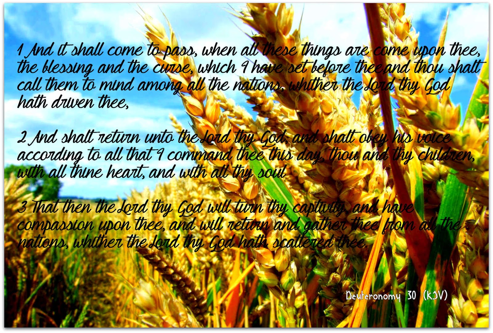 Red Pill Diaries Deuteronomy 30 KJV  red-pill-diaries-deuteronomy-30-kjv