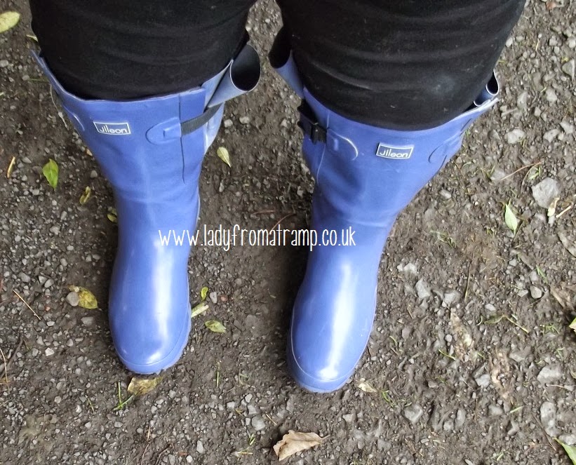 Buy > le chameau wellies wide calf > in stock