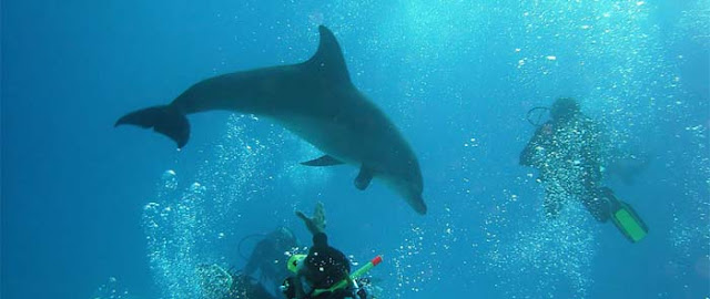 45 Best Places To Travel In Egypt 45 Best Places To Travel In Egypt