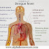 ডেঙ্গু জ্বর এবং হোমিওপ্যাথি চিকিৎসা ( Dengue fever and Homeopathy treatment )