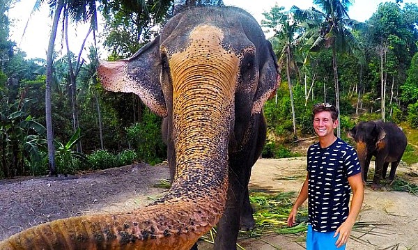 Elephant takes selfie with a GoPro with Tourist Christian Leblanc in Thailand on being gifted with a banana for an epic Elphie Elephant takes selfie with a GoPro with Tourist Christian Leblanc in Thailand on being gifted with a banana for an epic Elphie via geniushowto.blogspot.com incredibble wildlife captures