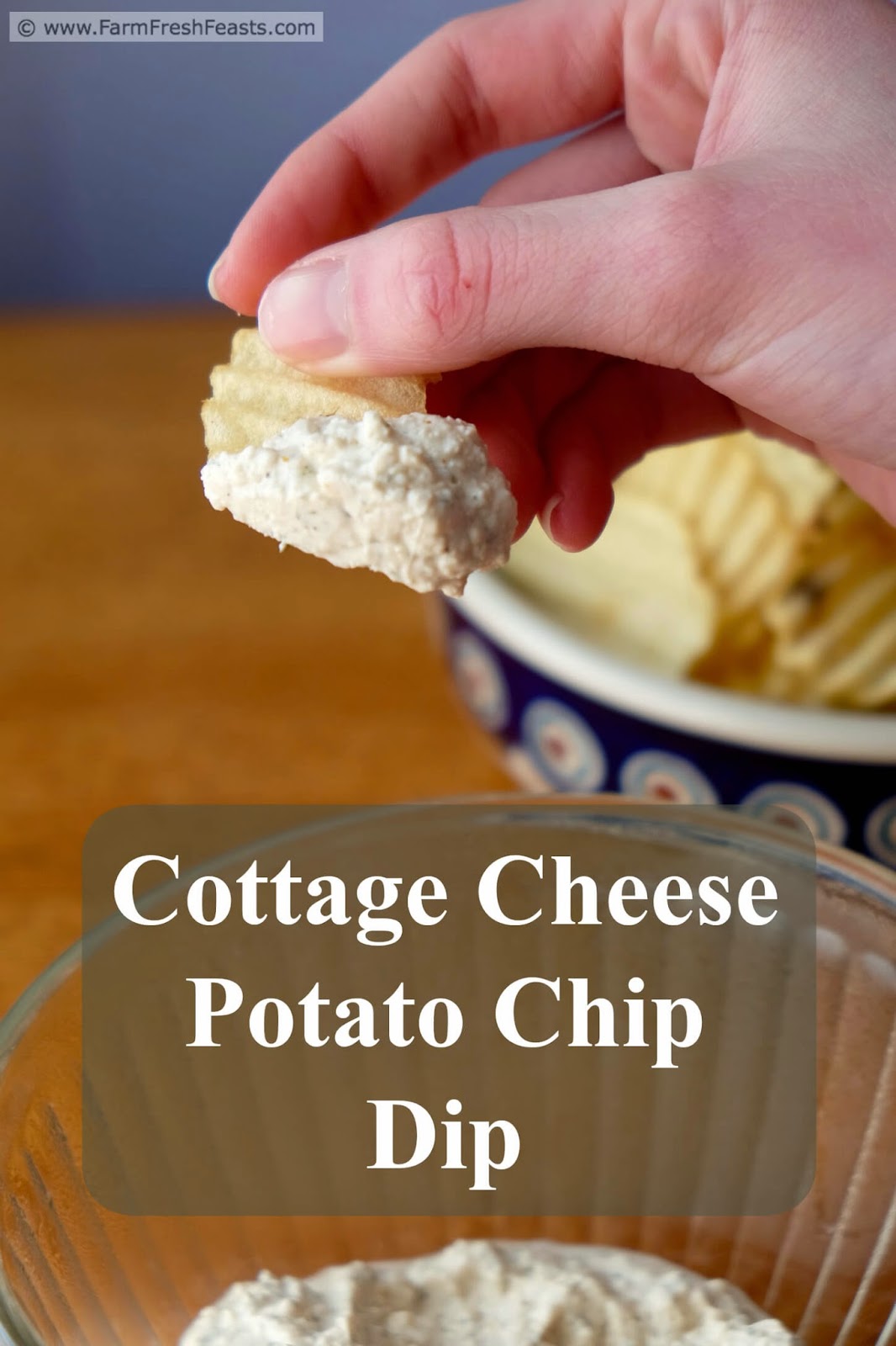 Farm Fresh Feasts Spiced Cottage Cheese Chip Dip