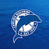 30 Funny Dolphin Logo Design for Inspiration