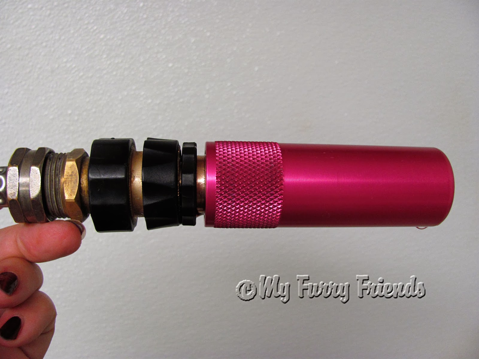 Pet Grooming The Good, The Bad, & The Furry Tuesdays Tip 55 A