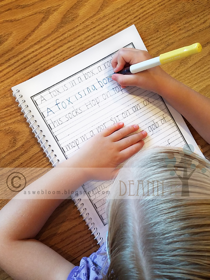 As We Bloom Perfect Reading & Beautiful Handwriting Review