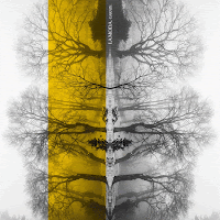 La Maravillosa Orquesta del Alcohol, Garate