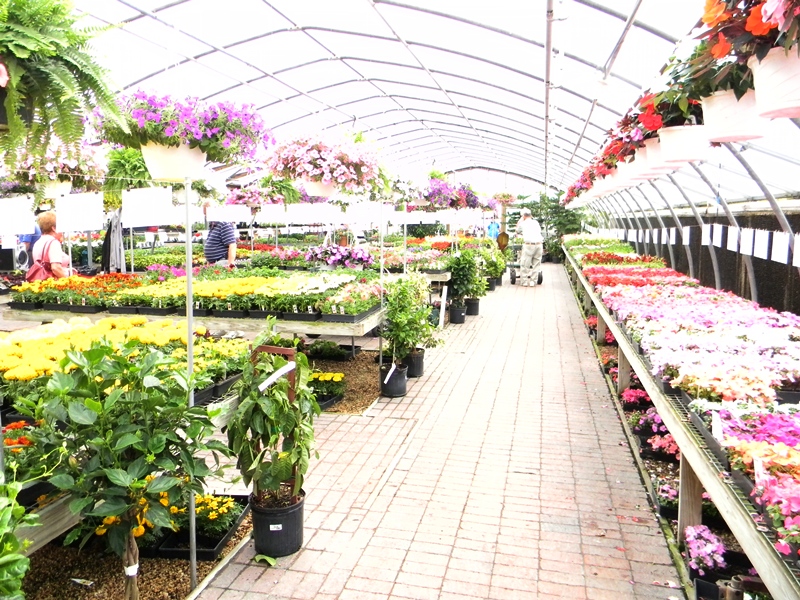 SWAC Girl Stuarts Draft Milmont Garden Center 2012