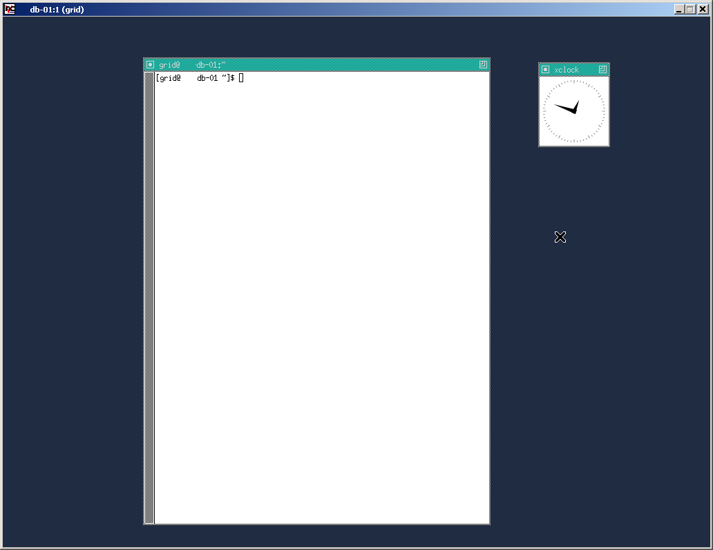 A! Help Blank VNC Screen