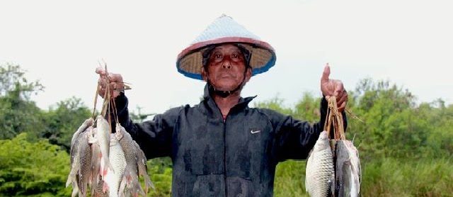 Budidaya Ikan Tawes Kolam Terpal untuk Usaha dan Bisnis