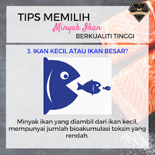 4 Tips Memilih Supplemen Minyak Ikan Berkualiti Tinggi