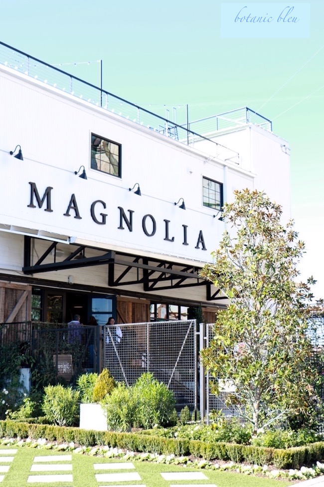 Botanic Bleu Christmas At The Magnolia Silos