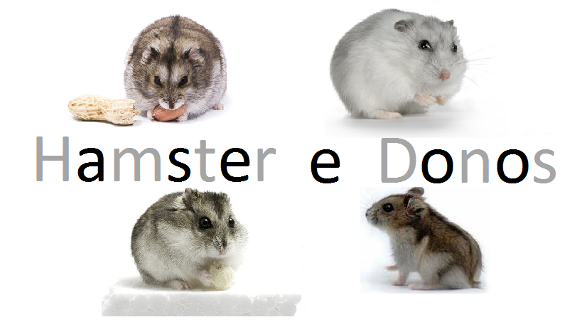 Hamster e Donos