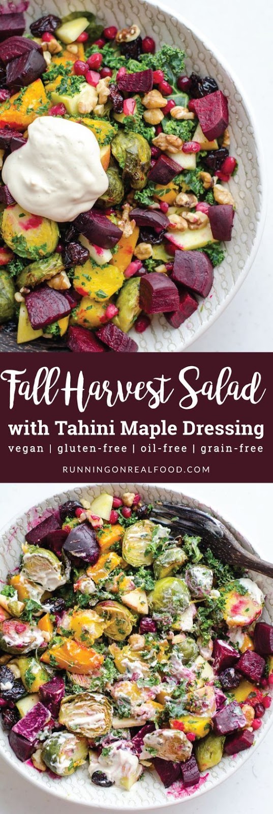 fall harvest salad with maple tahini dressing