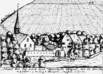 WWW Weiach und der Wydler