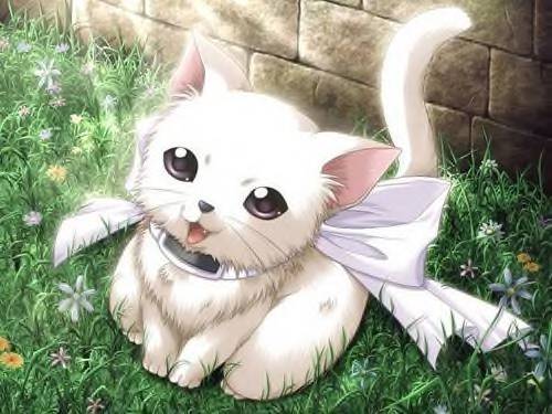 anime+cute+white+cat.jpg