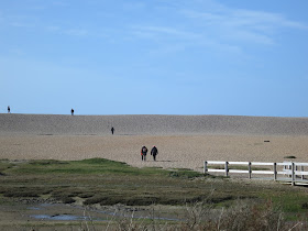 People walking up Chesil Beach from the Nature Centre. March 1st 2015.