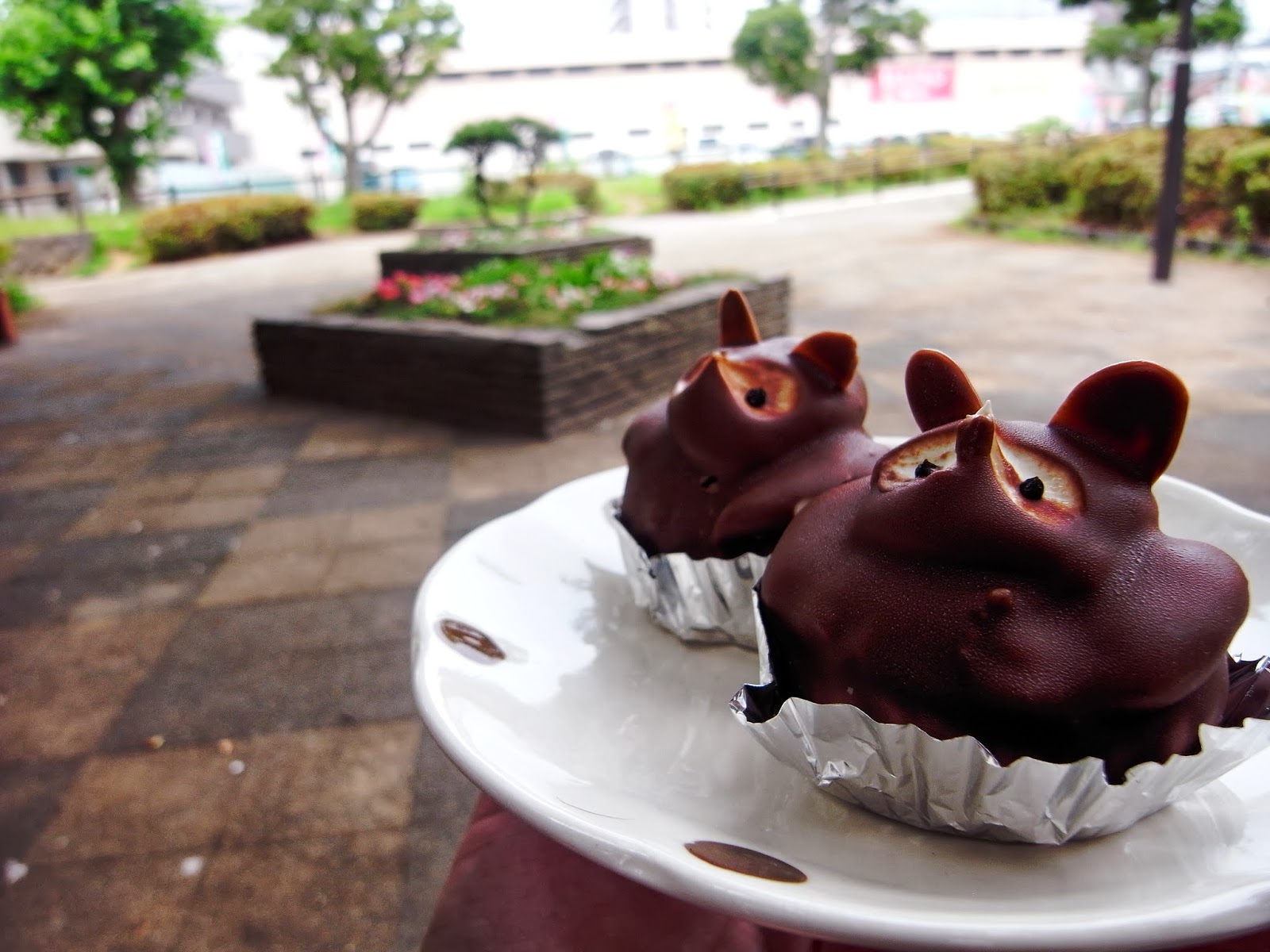 たぬきケーキのあるとこめぐり 全国たぬきケーキ生息マップ ポンタくん 閉店 ボナール洋菓子店 湘南台店 神奈川県藤沢市