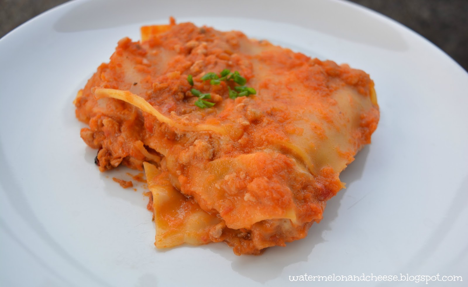 What's in my rice cooker? Lasagna Watermelon and Cheese