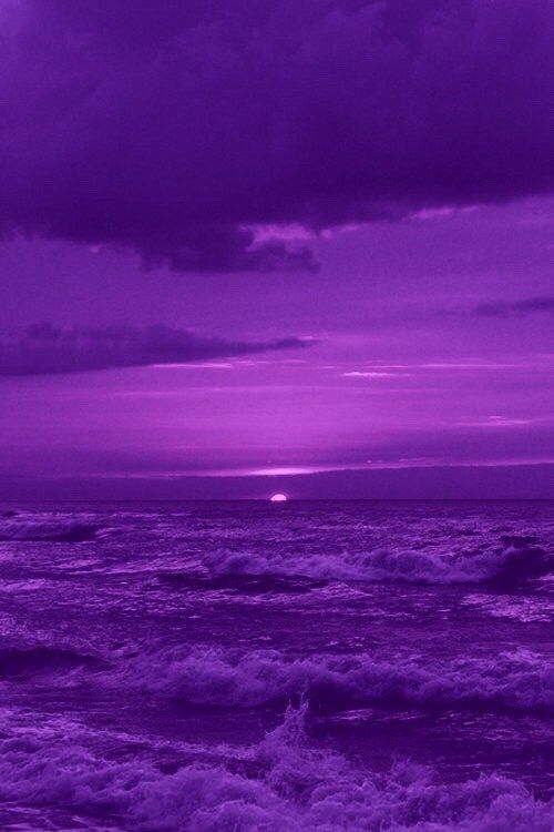 Pantone ultra violet