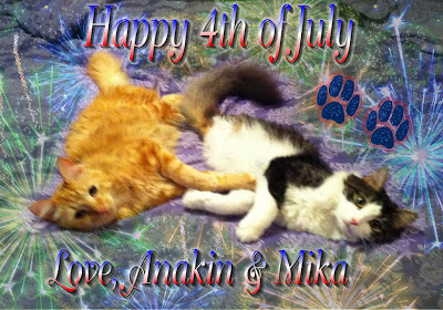 Happy 4th of July Love Anakin & Mika