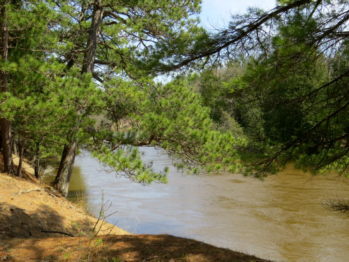 Manistee River