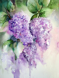 lilac blossom watercolour florals watercolor artistico fabriano flowers lilacs flower extra paper painting paintings water floral paint purple acrylic blossoms