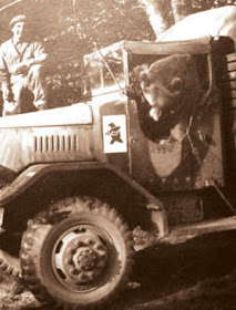 WW2 Private Wojtek in Jeep - Polish Army 2nd Polish Corp