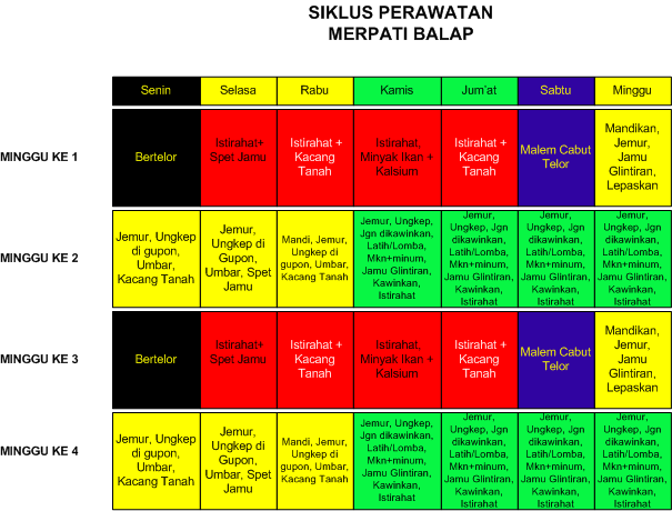 Cara Merawat Merpati Balap