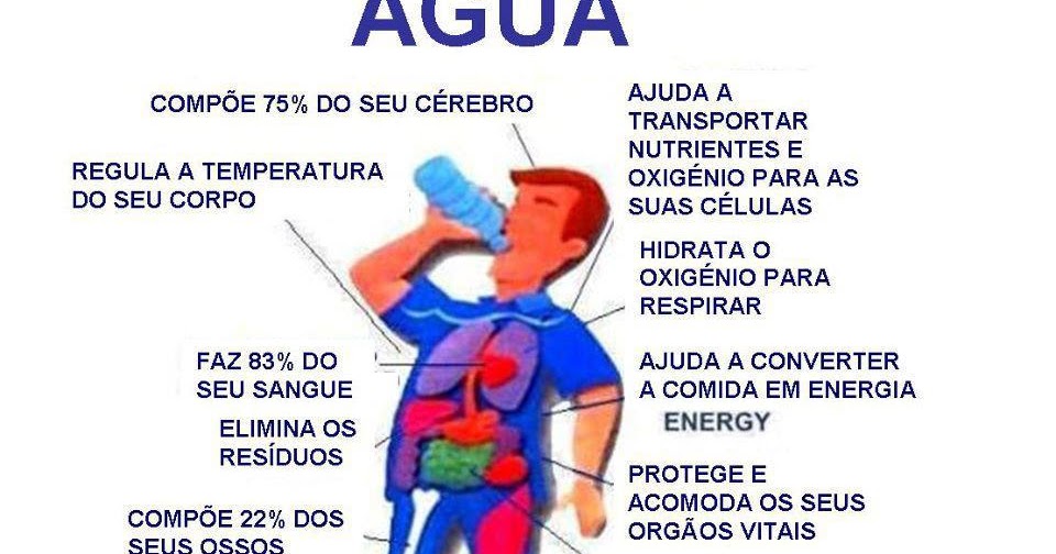 Um pouco de Biologia: Água