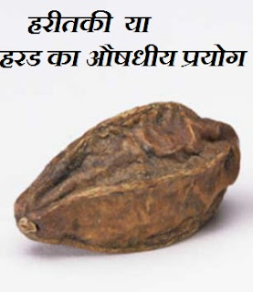 हरीतकी के लाभ , Haritaki Benefits in Hindi , हरड एक औषधी , हरीतकी का औषधीय प्रयोग, हरीतकी के उपयोग, हरीतकी के फायदे, haritaki ke fayde aur labh, 