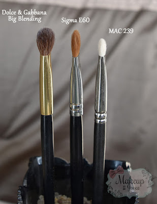 Sigma E60 Brush Review MAC 239