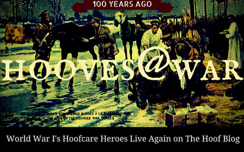 Hooves@War on the Hoof Blog