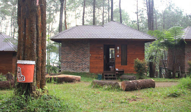 Menginap, Seru-Seruan, hingga Kedinginan di TWGC Lembang