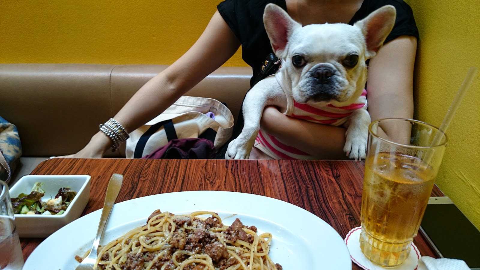 犬okなカフェ レストラン ロータス 表参道 フレンチブルドッグのブログ Br フジ散歩